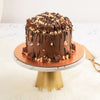 Crunchy Chocolate Hazelnut Cake