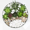 Succulent Dish Garden