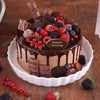 Candy Topped Chocolate Cake