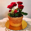 Chocolate Cake With 6 Red Roses