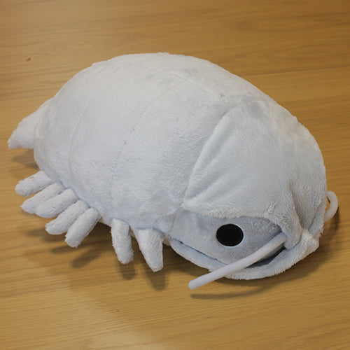 giant isopod stuffed animal