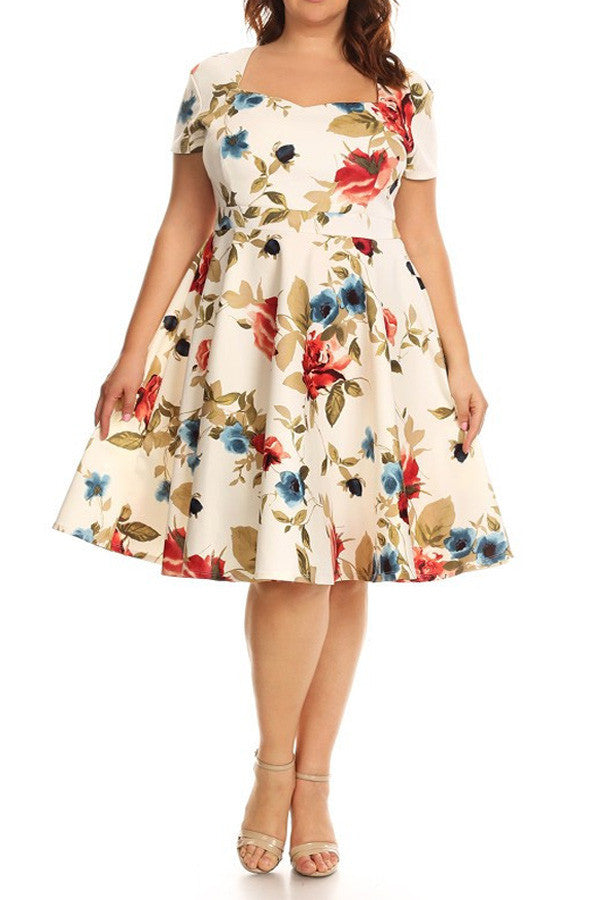 plus size fit and flare dress with sleeves