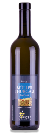 Forster Weinbau Müller Thurgau Lieblich