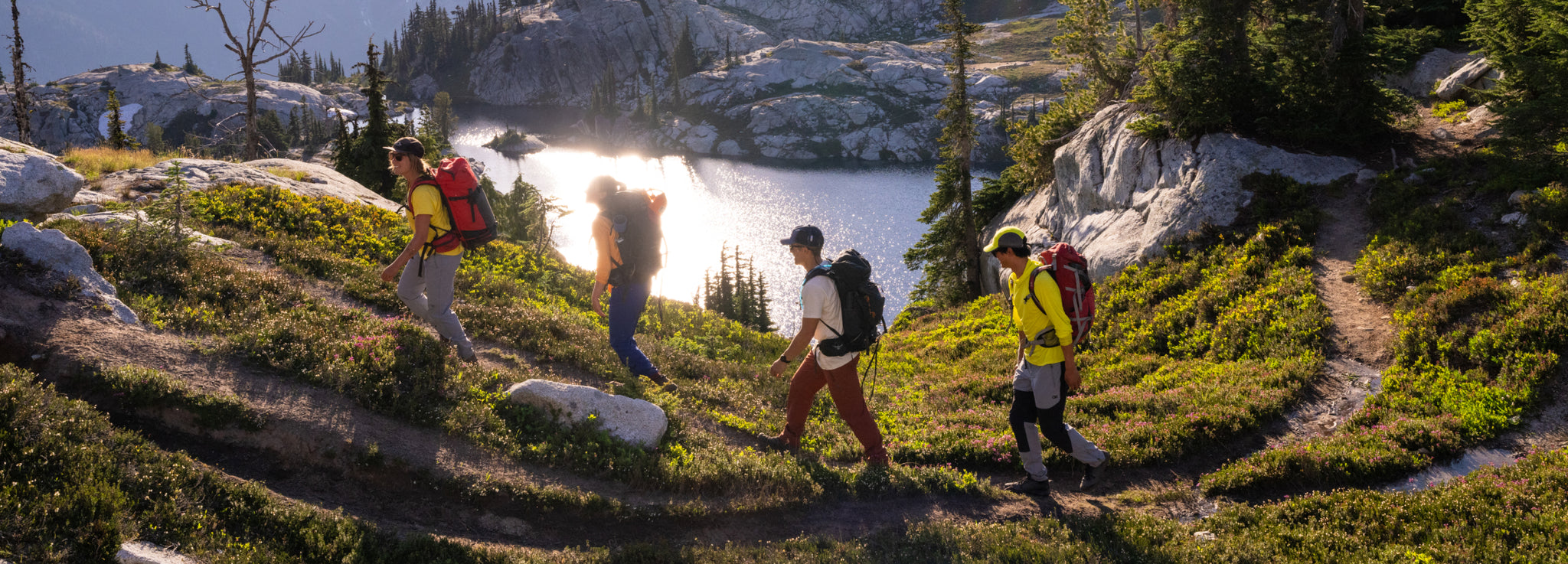 A group of friends backpack along a sunlit trail.