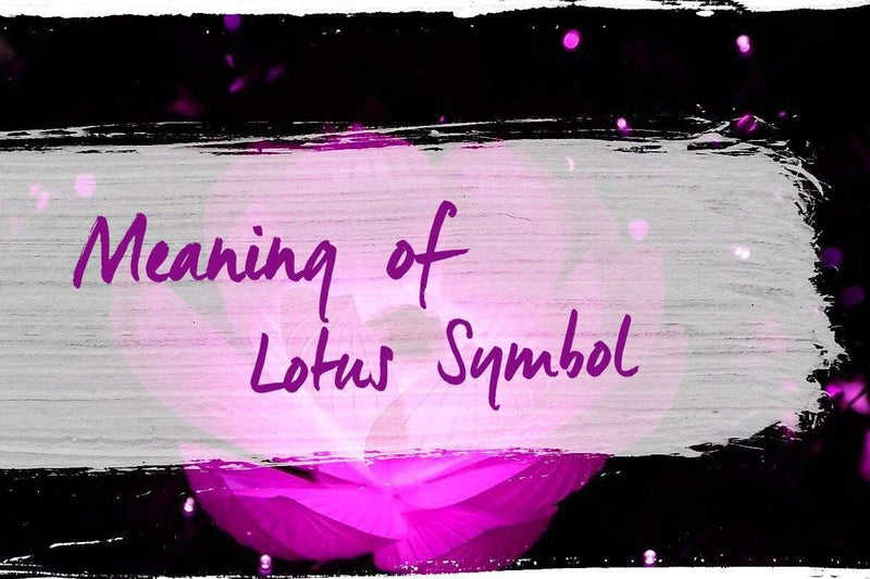 meaning-of-lotus-flower-one-tribe-apparel