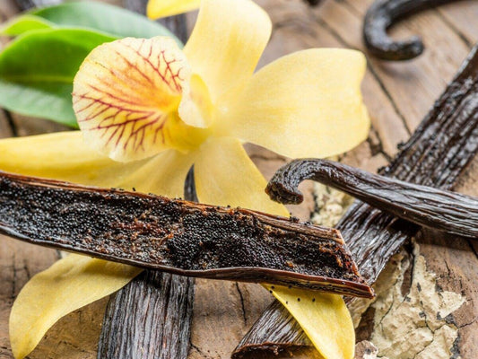 Amber (Pinus Succinefera) Essential Oil 100% Natural – Natroil by  CEInternational