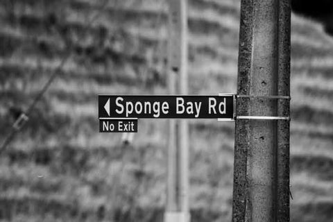Photo of the Sponge Bay Road road sign on the way to Sponge Bay in Gisborne