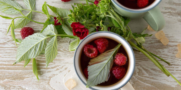 raspberry leaf tea