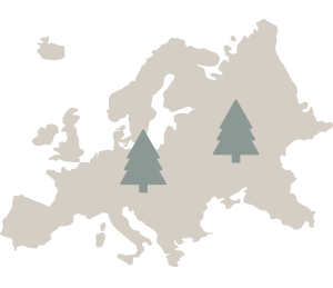 Europe Wood Map