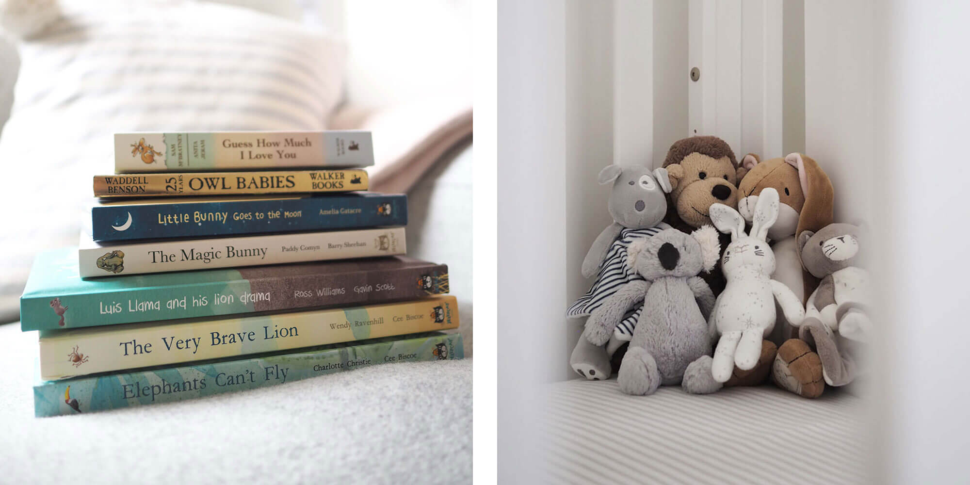 Nursery books and soft toys