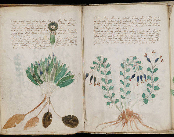 voynich manuscript history channel