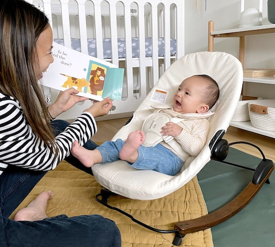 Baby Bouncer Seat & Travel Bag