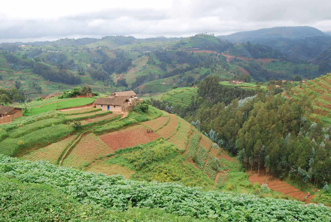 Besiedeltes Gebiet beim Nyungwe Forest Nationalpark im Südwesten Ruandas | Five Skincare