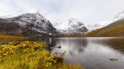 Image of Grizzly Lake Trail