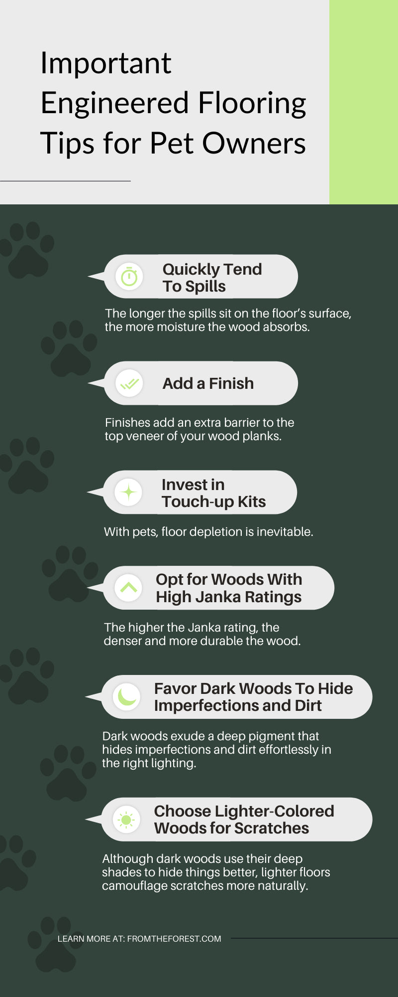 10 Important Engineered Flooring Tips for Pet Owners