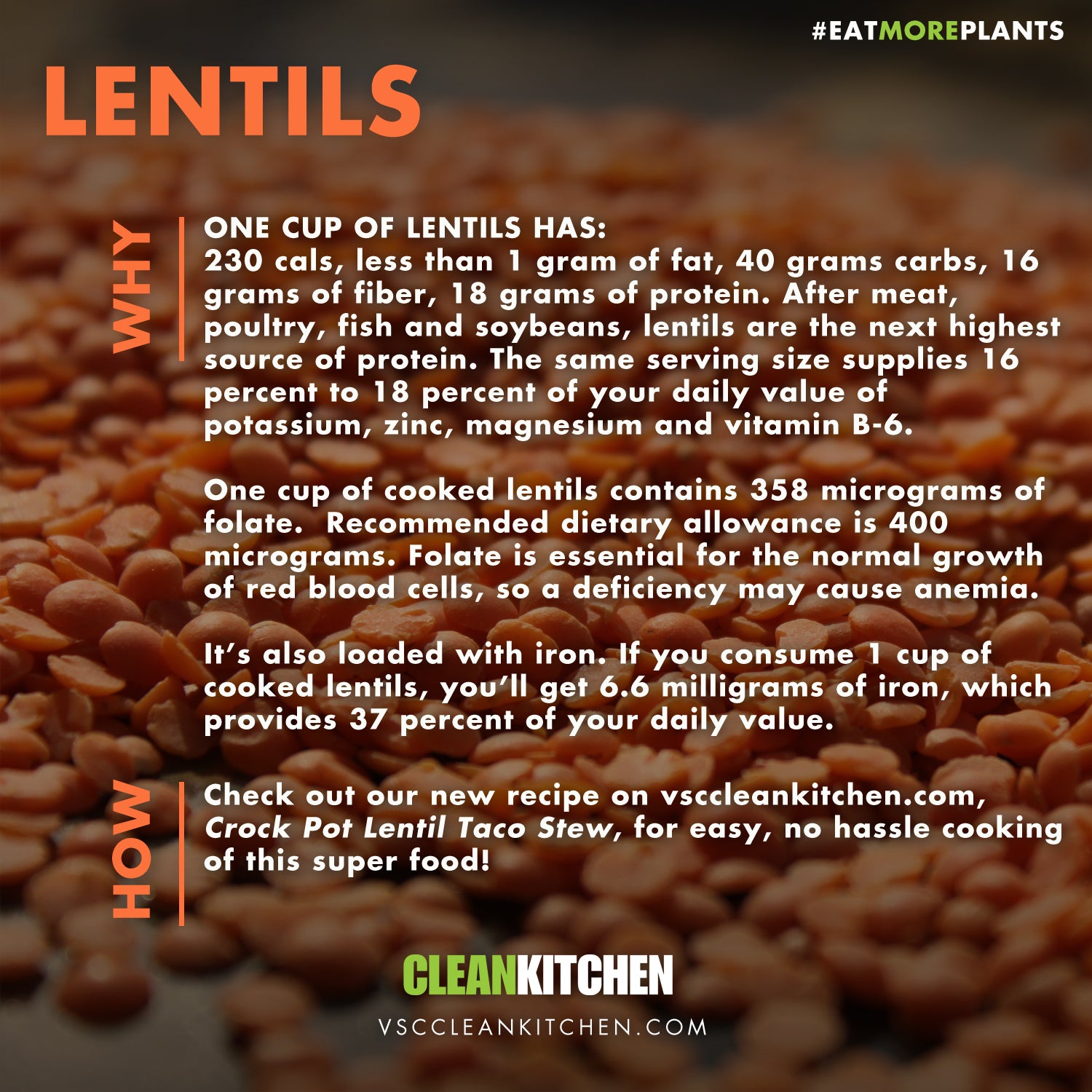 EMP_lentils