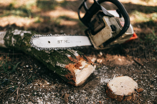 chainsaw cutting wood