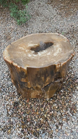 Petrified Wood Stone Fountain – The Rock Star Gallery®