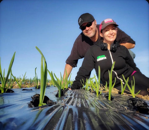 Tony & Sharon Pferschy of Garlic Breath Farm collaborate with Gindo's Hot Sauce, handcrafted in Illinois.