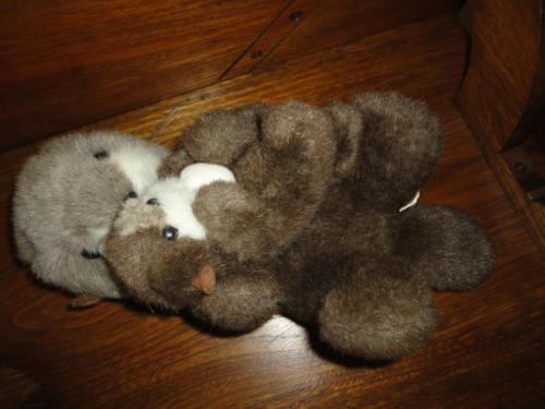 otter with stuffed animal