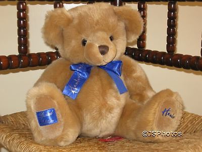 hamleys teddy bear