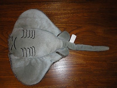 stingray teddy