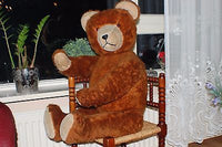 hermann teddy bear identification