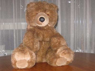 chosun teddy bear