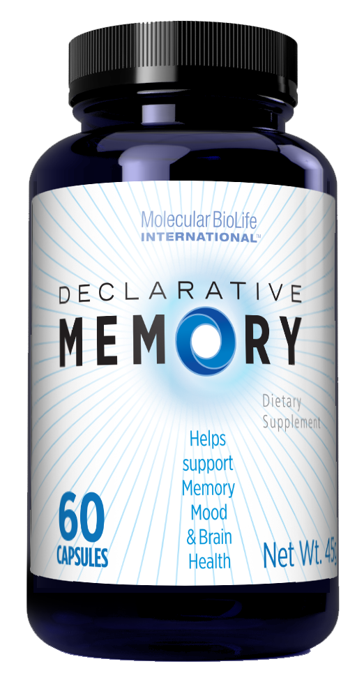 declarative memory