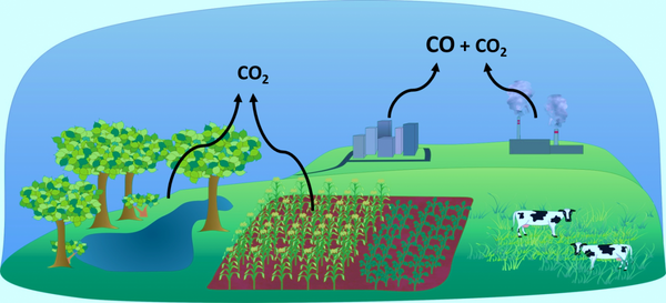 CO2 detector 