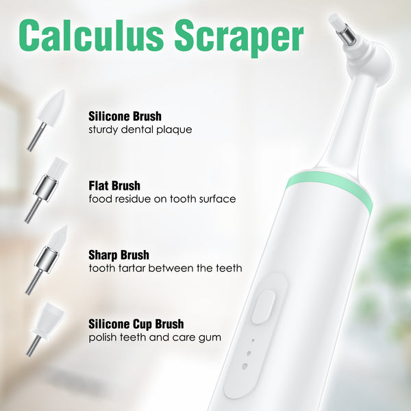 LifeBasis Electric Toothbrush