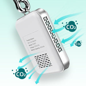 LifeBasis CO2 Detector