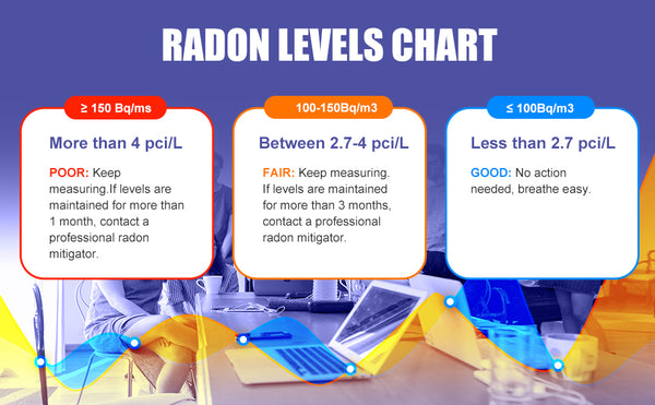 LifeBasis Radon Detector