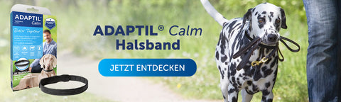 Blog Adaptil Cta Calm Halsband