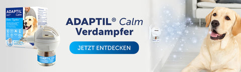 ADAPTIL Calm Verdampfer