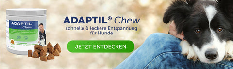 Blog Adaptil Cta Chew