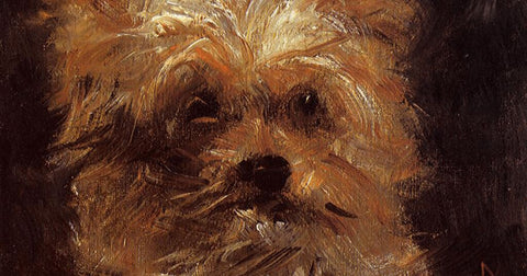 "Head of a Dog, Bob" (1876) - Édouard Manet