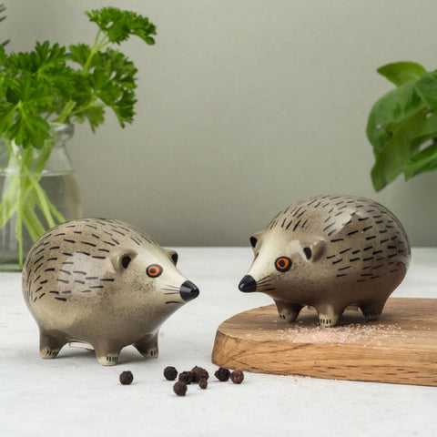 Handmade Ceramic Hedgehog Salt and Pepper Shakers by Hannah Turner