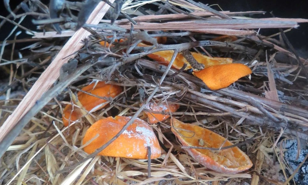 dried orange peels in kindling to use as firestarter
