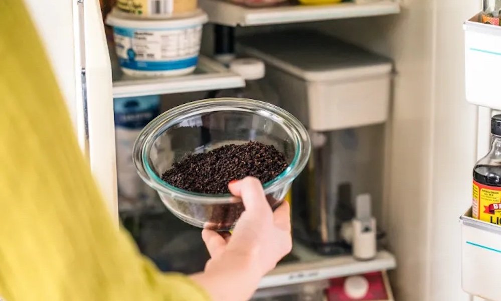 arm putting glass bowl of coffee grounds in fridge