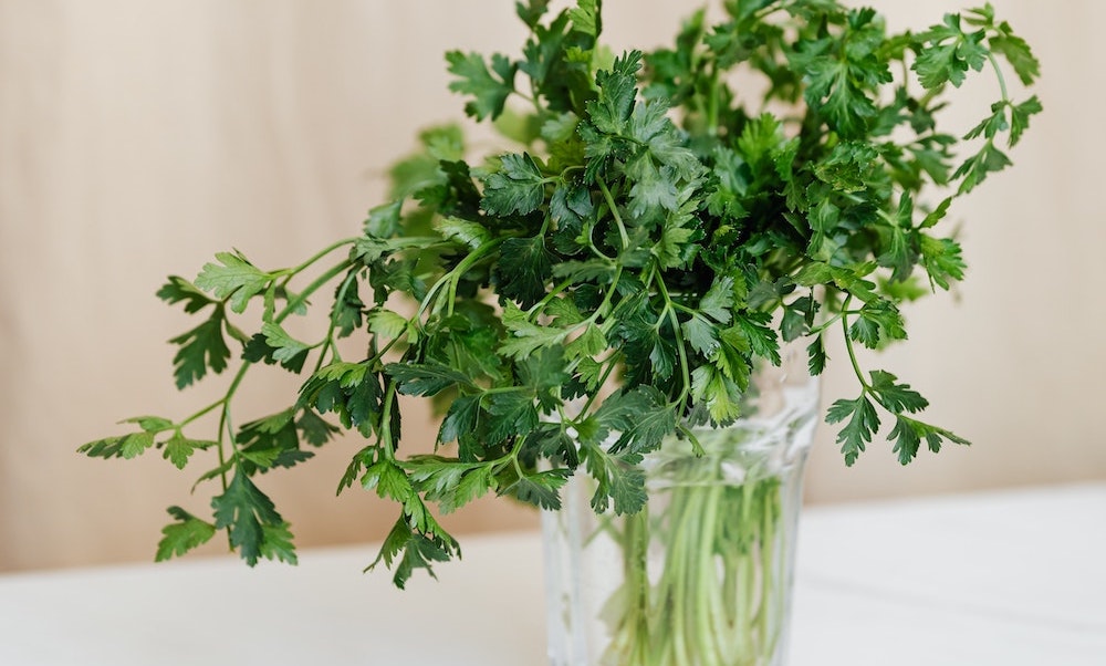 food waste hack showing herbs stored in water to prolong life