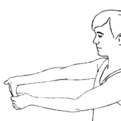 Picture of person doing a wrist flexor stretch