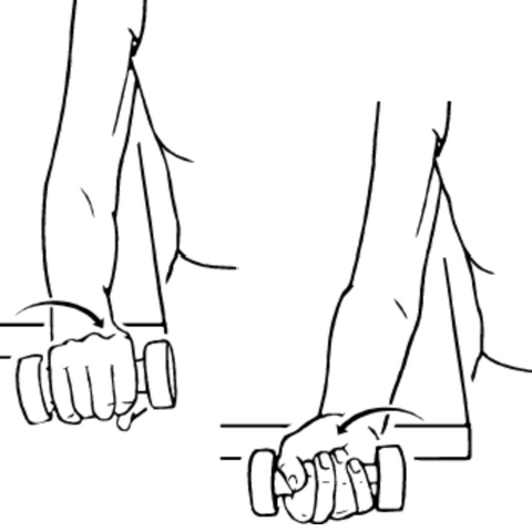 Image of pronation and supination with a weight for tennis elbow management