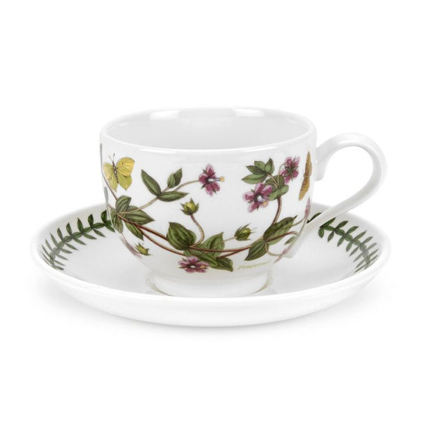 Teacup and Saucer Pimpernel