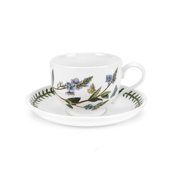 Teacup and Saucer Speedwell