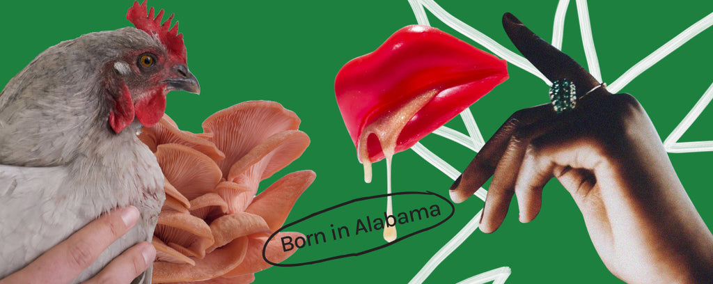 Born in Alabama collage