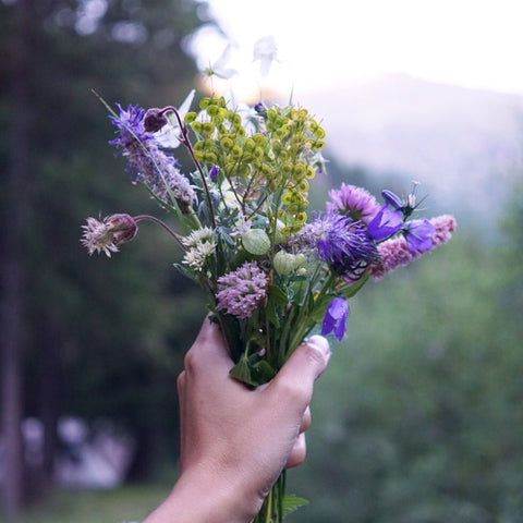 wild flowers - picture renskeversluijs