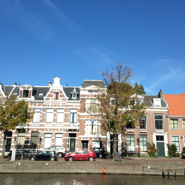 Haarlem Dutch houses