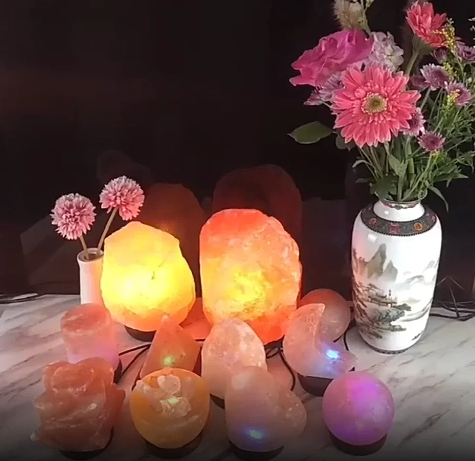 Lampes de sel ambre rose mauve 10 formes différentes lune coeur carré table 2 vases fleur