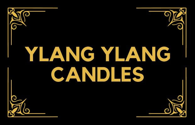 Ylang Ylang Candles – Candlelore